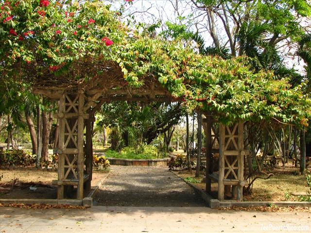 San Juan Cruise Port Puerto Rico Luis Munoz Rivera Park
