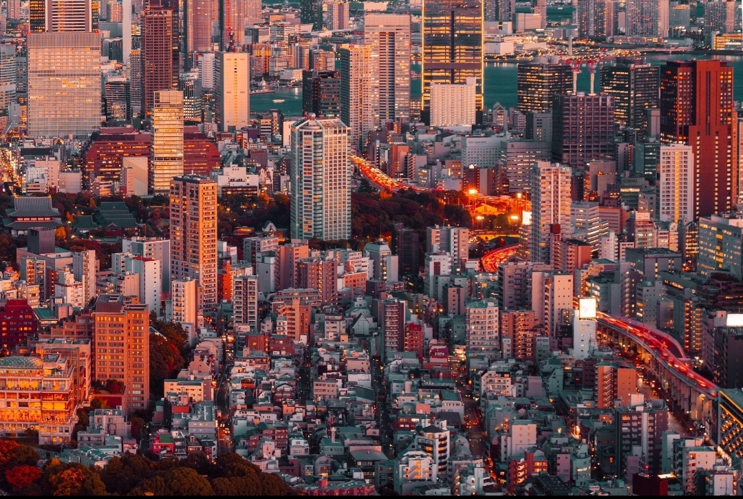Tokyo Tour Guide