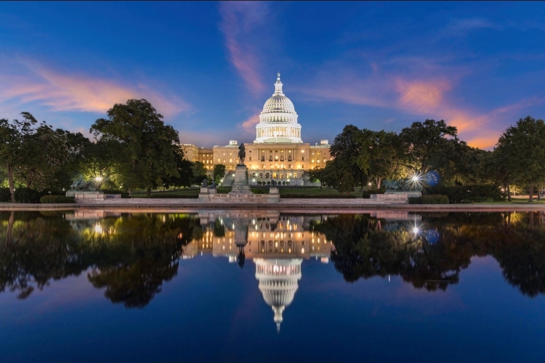 Washington Dc Tour Guide